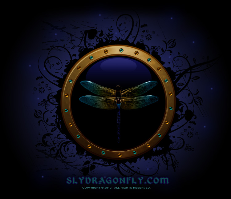 slydragonfly.com